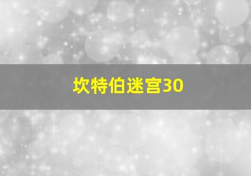 坎特伯迷宫30