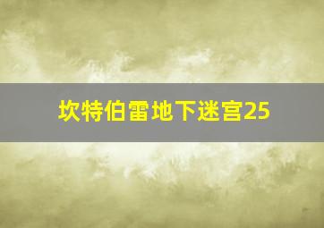 坎特伯雷地下迷宫25