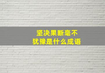 坚决果断毫不犹豫是什么成语