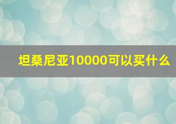 坦桑尼亚10000可以买什么