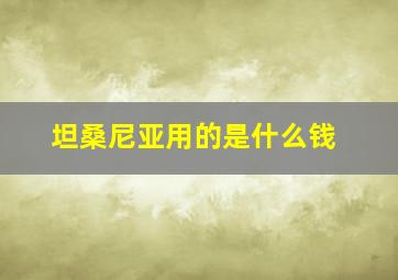 坦桑尼亚用的是什么钱