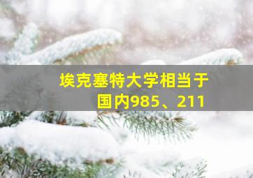 埃克塞特大学相当于国内985、211