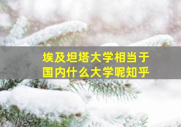 埃及坦塔大学相当于国内什么大学呢知乎