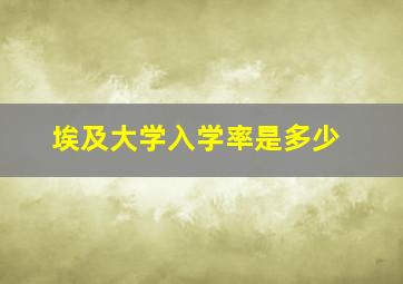 埃及大学入学率是多少