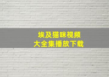 埃及猫咪视频大全集播放下载