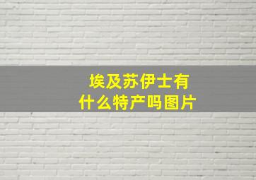 埃及苏伊士有什么特产吗图片