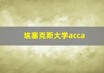 埃塞克斯大学acca