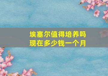 埃塞尔值得培养吗现在多少钱一个月