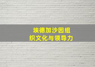 埃德加沙因组织文化与领导力