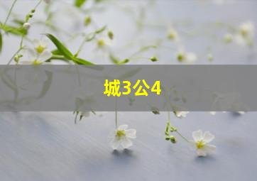 城3公4