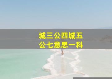 城三公四城五公七意思一科