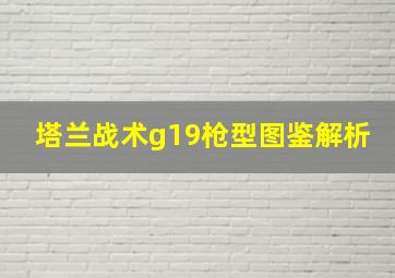 塔兰战术g19枪型图鉴解析