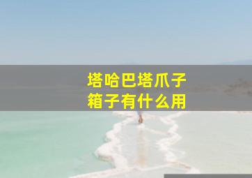 塔哈巴塔爪子箱子有什么用