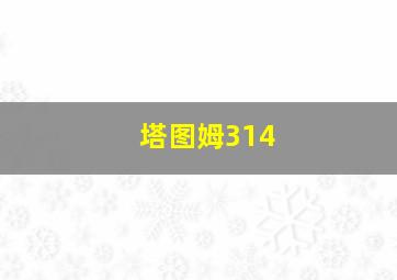 塔图姆314