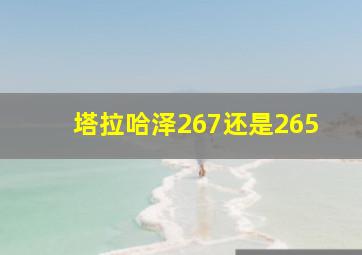 塔拉哈泽267还是265