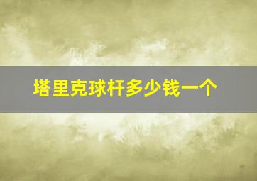 塔里克球杆多少钱一个