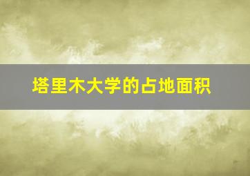 塔里木大学的占地面积