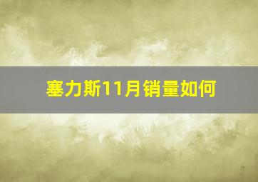 塞力斯11月销量如何