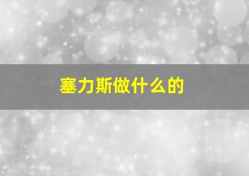 塞力斯做什么的