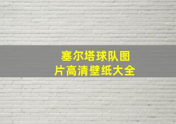 塞尔塔球队图片高清壁纸大全