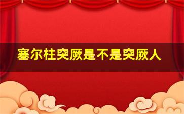 塞尔柱突厥是不是突厥人