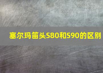 塞尔玛笛头S80和S90的区别