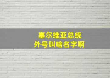 塞尔维亚总统外号叫啥名字啊