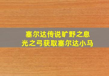 塞尔达传说旷野之息光之弓获取塞尔达小马