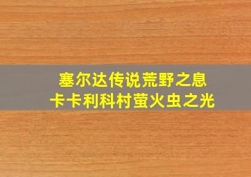 塞尔达传说荒野之息卡卡利科村萤火虫之光