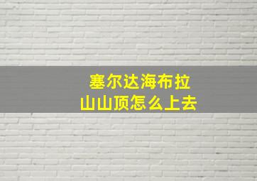 塞尔达海布拉山山顶怎么上去