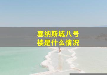 塞纳斯城八号楼是什么情况