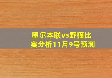 墨尔本联vs野猫比赛分析11月9号预测