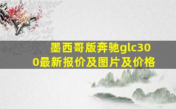 墨西哥版奔驰glc300最新报价及图片及价格