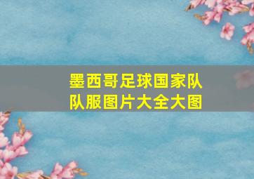 墨西哥足球国家队队服图片大全大图