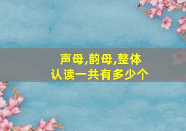 声母,韵母,整体认读一共有多少个