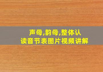 声母,韵母,整体认读音节表图片视频讲解