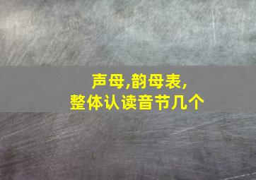 声母,韵母表,整体认读音节几个