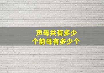 声母共有多少个韵母有多少个