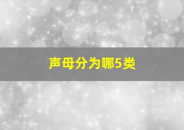 声母分为哪5类