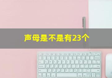 声母是不是有23个