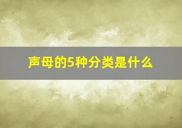 声母的5种分类是什么