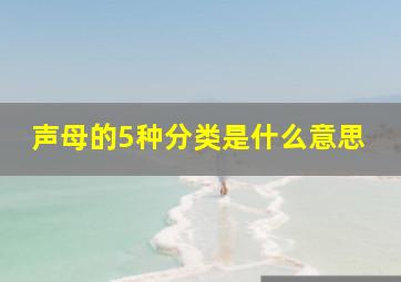 声母的5种分类是什么意思