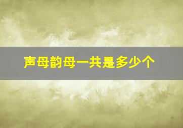 声母韵母一共是多少个