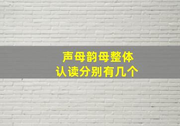 声母韵母整体认读分别有几个