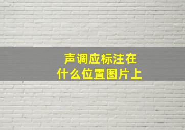 声调应标注在什么位置图片上