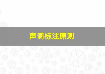 声调标注原则