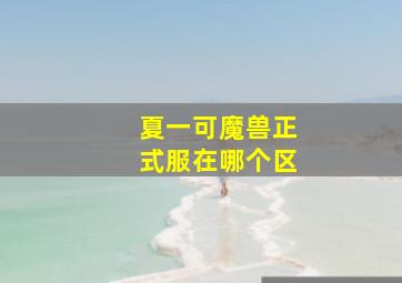 夏一可魔兽正式服在哪个区