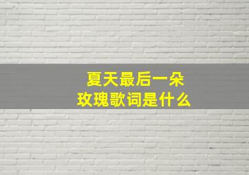 夏天最后一朵玫瑰歌词是什么