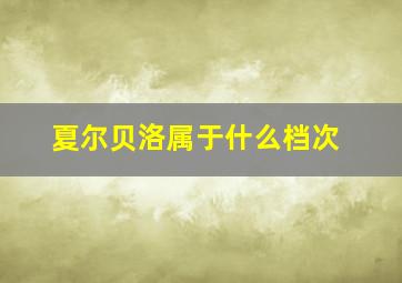 夏尔贝洛属于什么档次