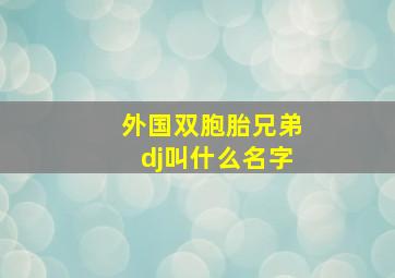 外国双胞胎兄弟dj叫什么名字